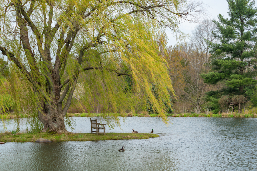 Holden Arboretum - wander with melissa